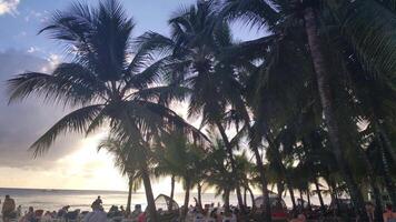dominicano república recorrer de praia video