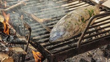 grillning tonnarella fisk video