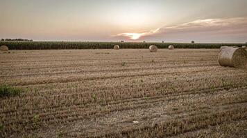 antenne visie van platteland velden met hooi balen Bij oranje zonsondergang video