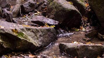 Creek with water flowing between the rocks 2 video