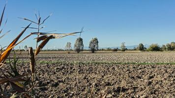 platteland geploegd velden landschap in herfst in noorden Italië video