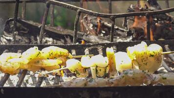 Fish skewer on the grill 2 video