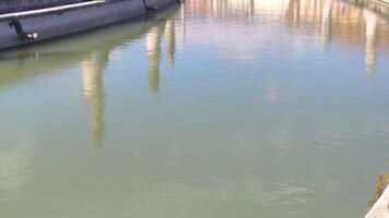 View of river reflection of Prato della Valle in Padua video