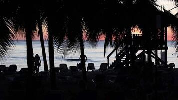 Caraïbes le coucher du soleil silhouette video