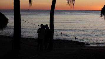 Caraïbes le coucher du soleil silhouette 4 video
