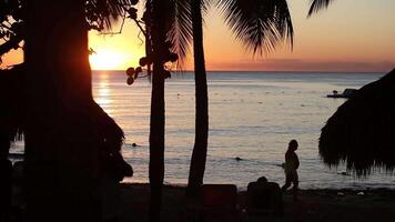 Caraïbes le coucher du soleil silhouette sept video