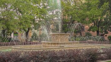 Ancient fountain in Rovigo 5 video