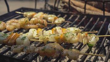 Fish skewer on the grill 5 video