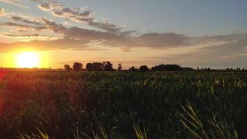 Beautiful Countryside lanscape in Italy 5 video