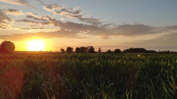 magnifique campagne paysage dans Italie sept video