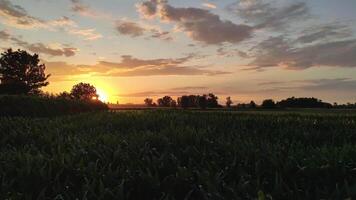 skön landsbygden lanscape i Italien 2 video