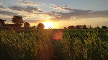 magnifique campagne paysage dans Italie video