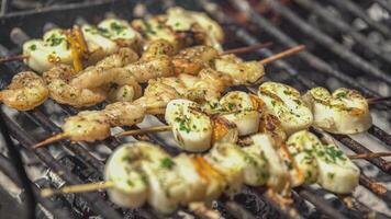 Fish skewer on the grill 10 video