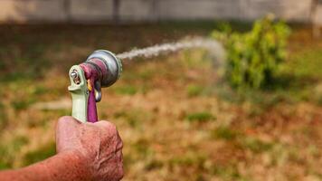 agua el jardín con un agua chorro video