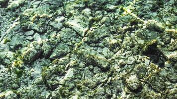 submarino lago piedras textura video