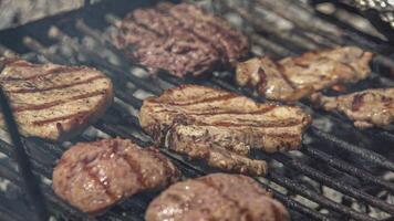 Viande sur le un barbecue 4 video