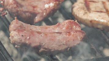 Sausages on the grill video