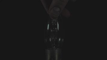 Incandescent Light Bulb with Warm Light 2 video