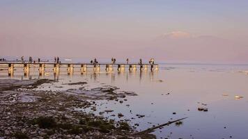 escénico ver de sirmione lago paisaje video