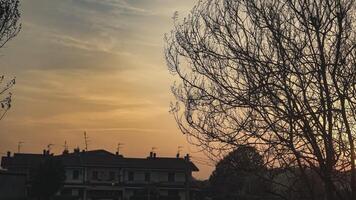 Country countryside sunset bare branches 2 video