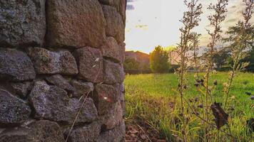 Sunset countryside meadow grass 2 video