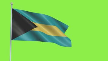 Bahamas Flag Slow Motion video