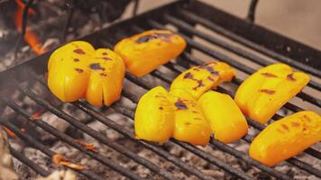 grillé des légumes dans barbecue 4 video