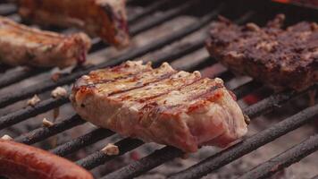 Grilled steaks detail with smoke video