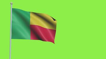 Benin Flag Slow Motion video