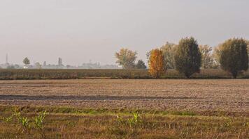 campo paisaje en otoño 2 video