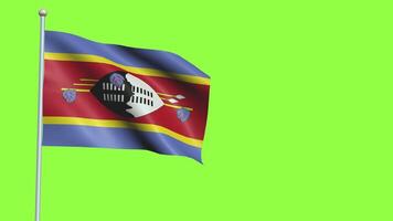 eswatini flagga långsam rörelse video