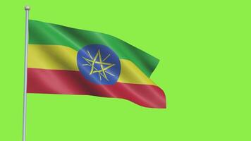 Ethiopië vlag langzaam beweging video