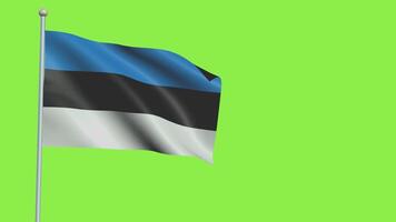 Estonia Flag Slow Motion video