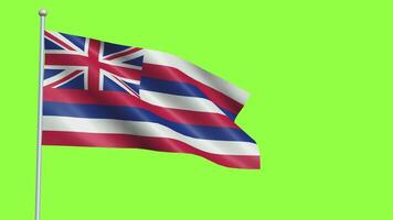 hawaii flagga långsam rörelse video