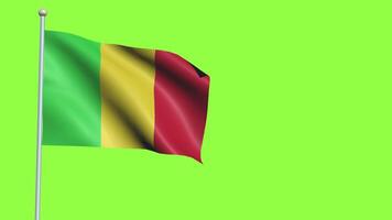 Mali Flag Slow Motion video