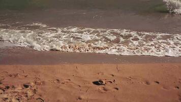 strandlinje vågor under sommar dag 2 video