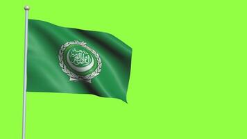 Arab League Flag Slow Motion video