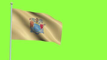 nieuw Jersey vlag langzaam beweging video