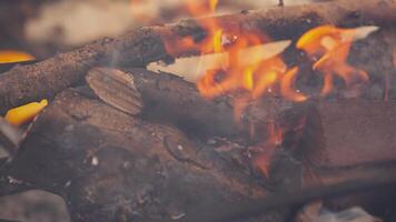 brinnande trä detalj med lågor 4 video