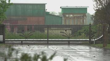 pluie dans le banlieue video