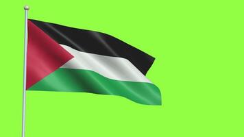 Sahrawi arab democratic republic Flag Slow Motion video