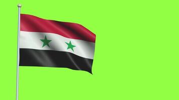 Syria Flag Slow Motion video