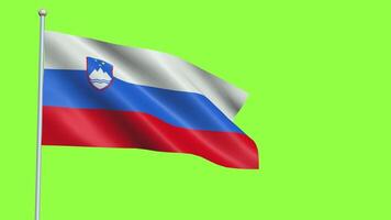 Slovenia Flag Slow Motion video