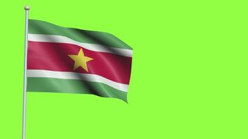 Suriname vlag langzaam beweging video