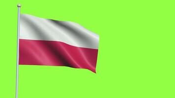 Thuringia Flag Slow Motion video