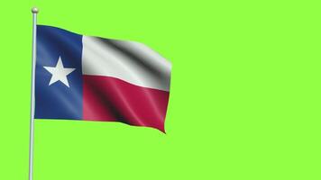 Texas Flagge schleppend Bewegung video