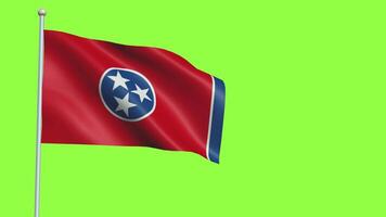 Tennesse bandera lento movimiento video