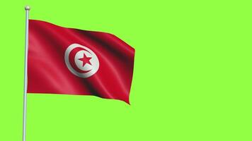 Tunisie bandeira lento movimento video