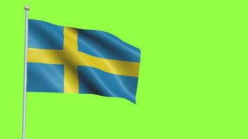 Zweden vlag langzaam beweging video