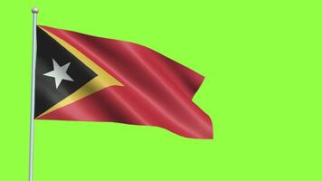 Timor este bandera lento movimiento video